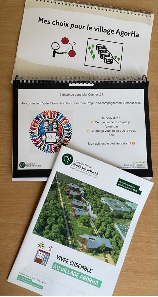 Mes choix pour le village